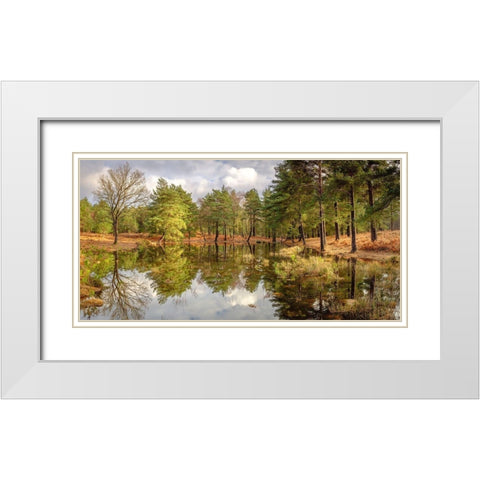 Canal through forest White Modern Wood Framed Art Print with Double Matting by Frank, Assaf