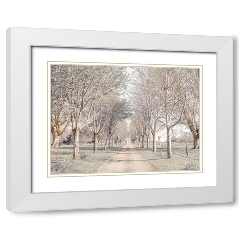 Pathway through forest White Modern Wood Framed Art Print with Double Matting by Frank, Assaf