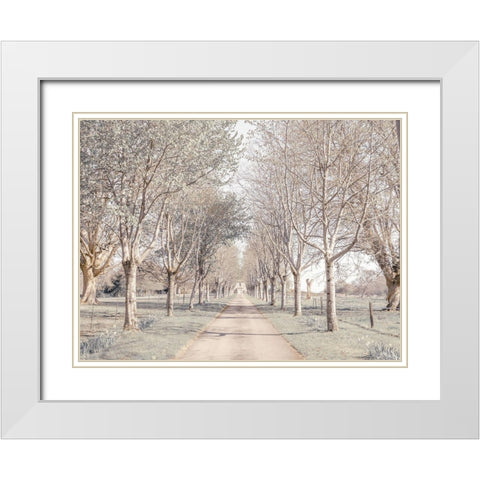 Pathway through forest White Modern Wood Framed Art Print with Double Matting by Frank, Assaf