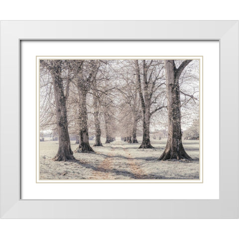 Pathway through forest White Modern Wood Framed Art Print with Double Matting by Frank, Assaf