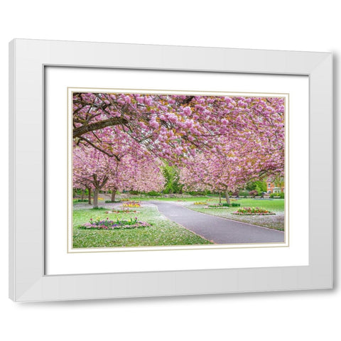 Blossom in the park White Modern Wood Framed Art Print with Double Matting by Frank, Assaf