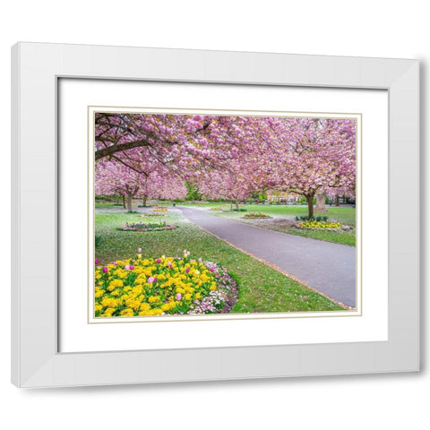 Blossom in the park White Modern Wood Framed Art Print with Double Matting by Frank, Assaf