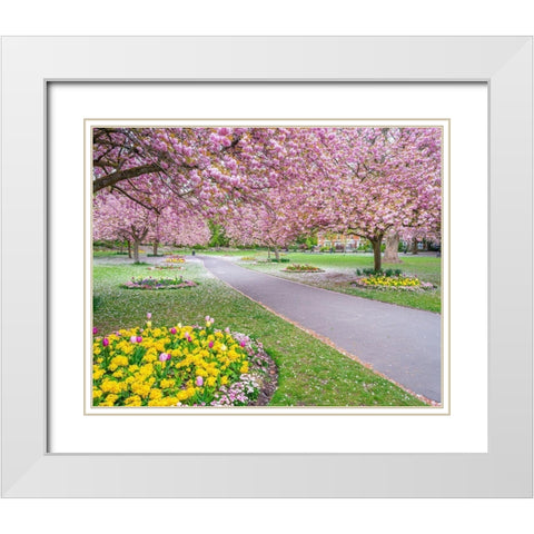Blossom in the park White Modern Wood Framed Art Print with Double Matting by Frank, Assaf