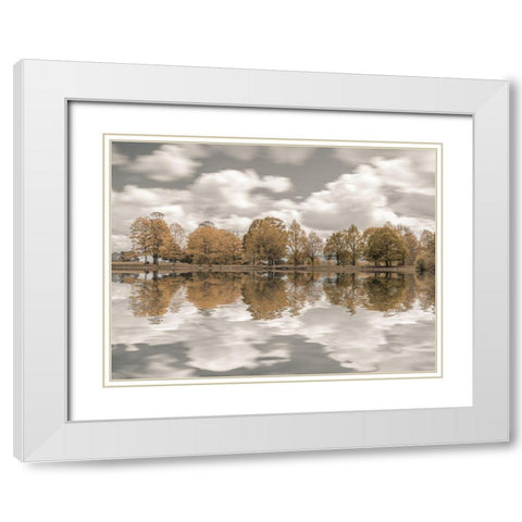 Trees along the lake White Modern Wood Framed Art Print with Double Matting by Frank, Assaf