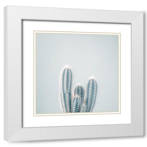 Micranthocereus Estevesii Cactus White Modern Wood Framed Art Print with Double Matting by Frank, Assaf