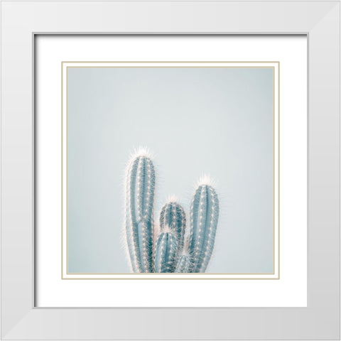 Micranthocereus Estevesii Cactus White Modern Wood Framed Art Print with Double Matting by Frank, Assaf