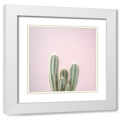 Micranthocereus Estevesii Cactus White Modern Wood Framed Art Print with Double Matting by Frank, Assaf
