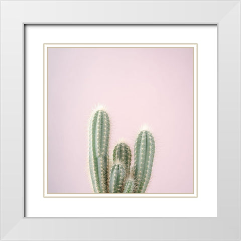 Micranthocereus Estevesii Cactus White Modern Wood Framed Art Print with Double Matting by Frank, Assaf