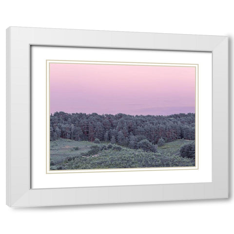 Dense Forest White Modern Wood Framed Art Print with Double Matting by Frank, Assaf