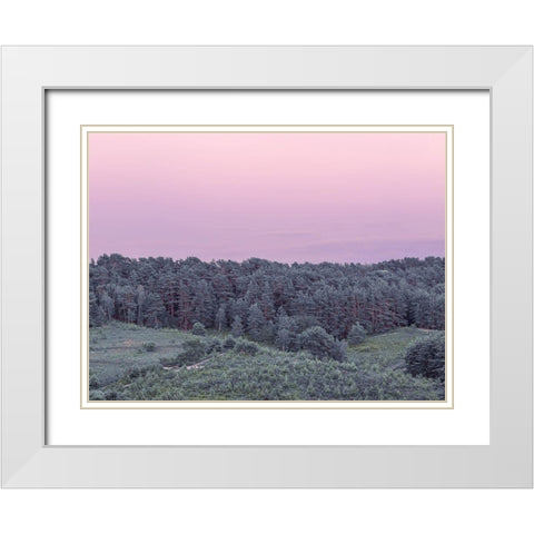 Dense Forest White Modern Wood Framed Art Print with Double Matting by Frank, Assaf