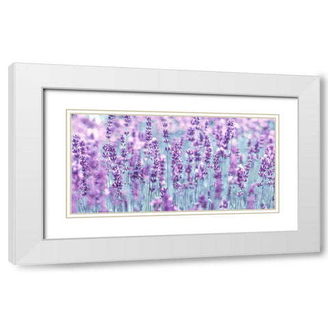 Lavender White Modern Wood Framed Art Print with Double Matting by Frank, Assaf