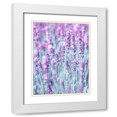 Lavender White Modern Wood Framed Art Print with Double Matting by Frank, Assaf
