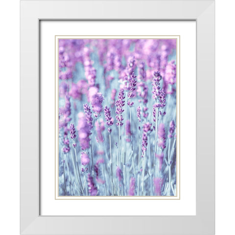 Lavender White Modern Wood Framed Art Print with Double Matting by Frank, Assaf