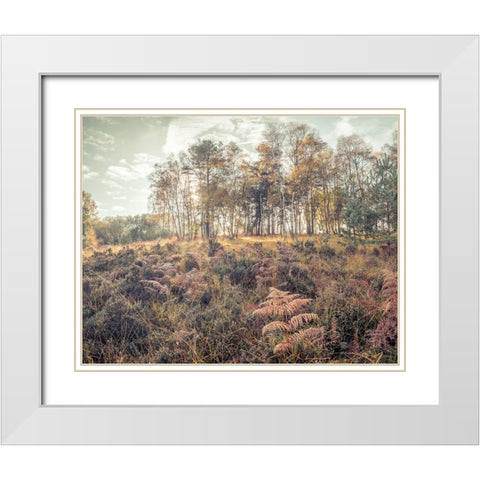 Forest with tall trees and foliage White Modern Wood Framed Art Print with Double Matting by Frank, Assaf