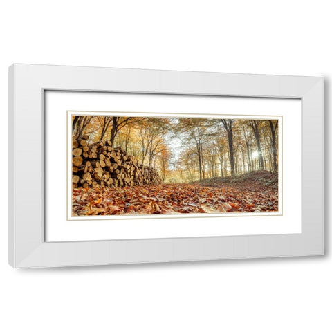 Stack of tree logs in autumn forest White Modern Wood Framed Art Print with Double Matting by Frank, Assaf