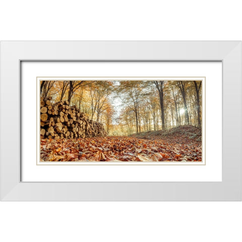 Stack of tree logs in autumn forest White Modern Wood Framed Art Print with Double Matting by Frank, Assaf