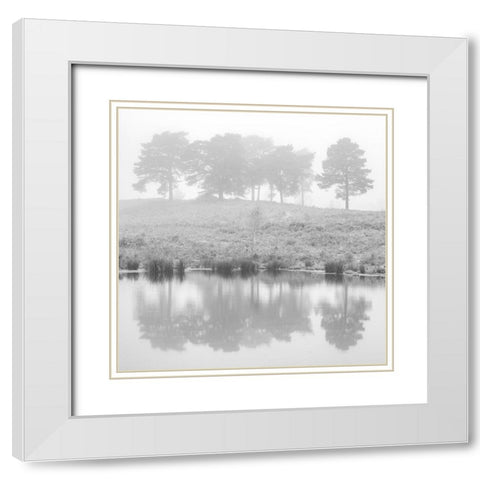 Misty Pine trees-reflection White Modern Wood Framed Art Print with Double Matting by Frank, Assaf