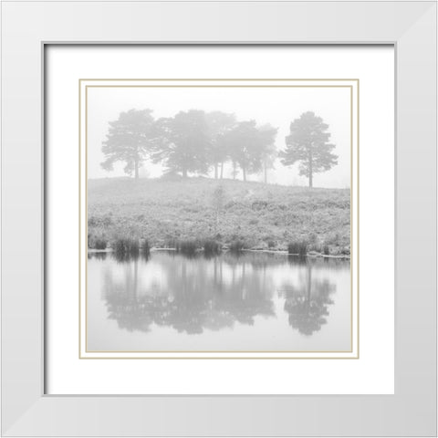 Misty Pine trees-reflection White Modern Wood Framed Art Print with Double Matting by Frank, Assaf