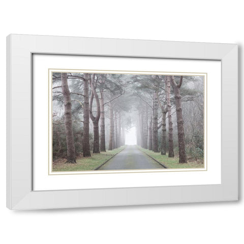 Road through mystic forest White Modern Wood Framed Art Print with Double Matting by Frank, Assaf