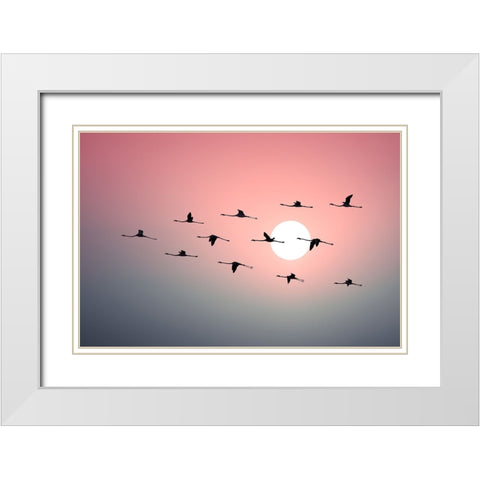 Flamingo Sunset White Modern Wood Framed Art Print with Double Matting by Frank, Assaf