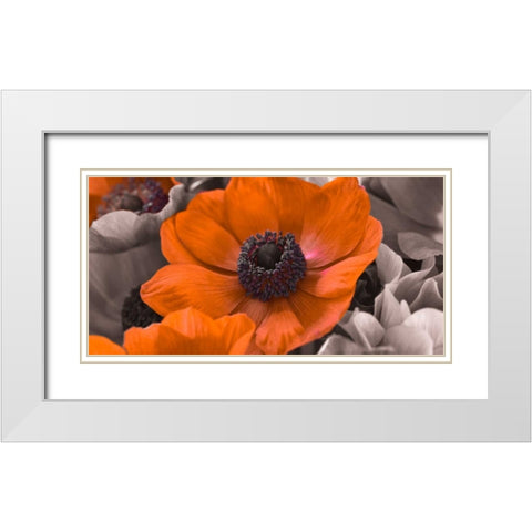 AF20111223 Anemone 008C15-2 RedC01 White Modern Wood Framed Art Print with Double Matting by Frank, Assaf