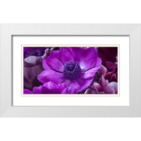 AF20111223 Anemone 008C16 White Modern Wood Framed Art Print with Double Matting by Frank, Assaf
