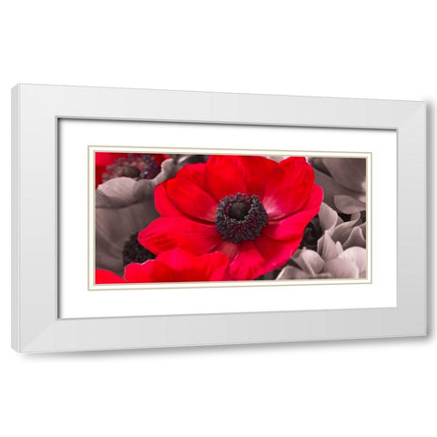 AF20111223 Anemone 008C15-2 Red White Modern Wood Framed Art Print with Double Matting by Frank, Assaf