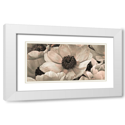 AF20111223 Anemone 008C18 White Modern Wood Framed Art Print with Double Matting by Frank, Assaf