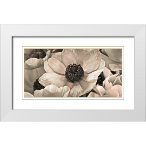 AF20111223 Anemone 008C18 White Modern Wood Framed Art Print with Double Matting by Frank, Assaf