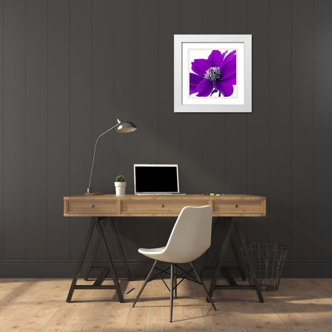 AF20110714 Dahlia 107C05 White Modern Wood Framed Art Print with Double Matting by Frank, Assaf