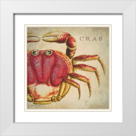 Red Crab White Modern Wood Framed Art Print with Double Matting by Marrott, Stephanie