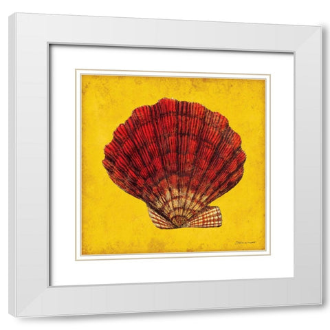 Fan Shell White Modern Wood Framed Art Print with Double Matting by Marrott, Stephanie