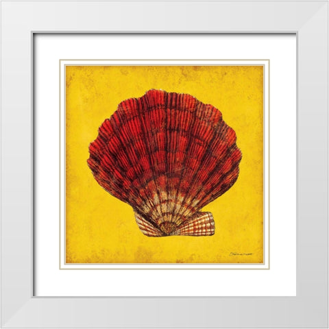 Fan Shell White Modern Wood Framed Art Print with Double Matting by Marrott, Stephanie