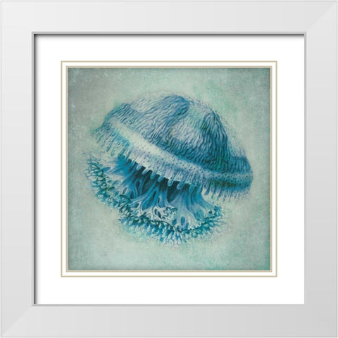 Jelly Fish II White Modern Wood Framed Art Print with Double Matting by Marrott, Stephanie