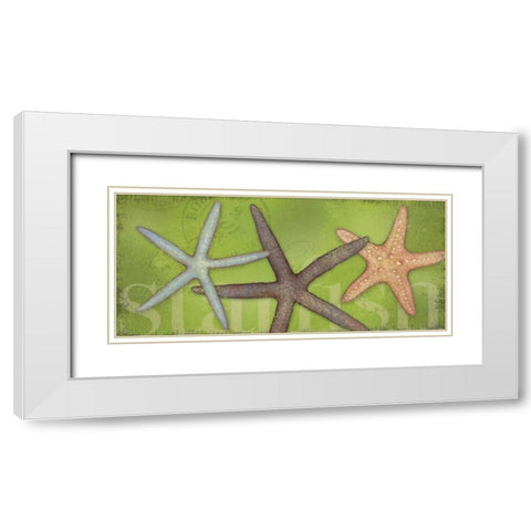 Star Fish White Modern Wood Framed Art Print with Double Matting by Marrott, Stephanie