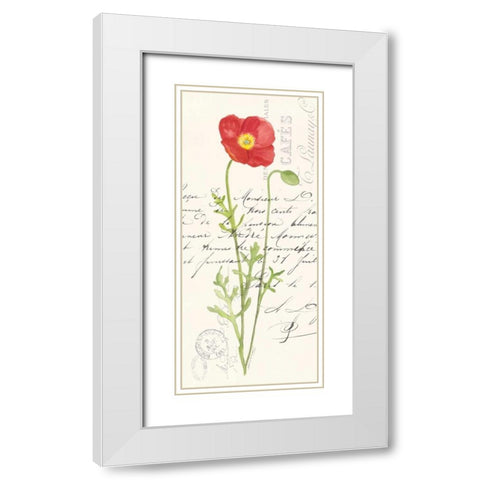 Poppy II White Modern Wood Framed Art Print with Double Matting by Marrott, Stephanie
