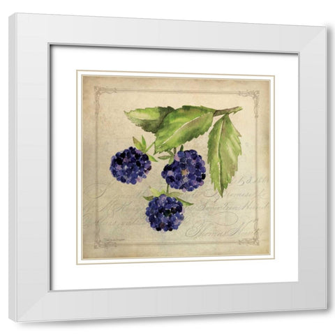 Blackberry Collage White Modern Wood Framed Art Print with Double Matting by Marrott, Stephanie
