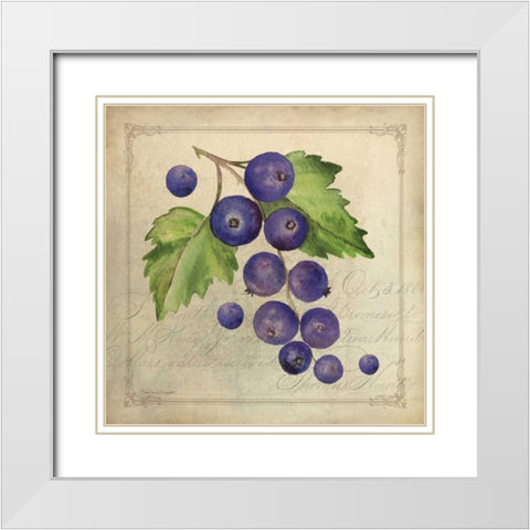 Blueberry Collage White Modern Wood Framed Art Print with Double Matting by Marrott, Stephanie