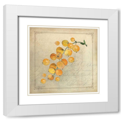 Yellow Berries White Modern Wood Framed Art Print with Double Matting by Marrott, Stephanie