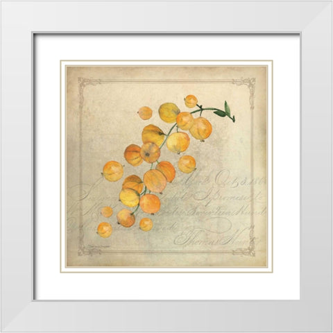 Yellow Berries White Modern Wood Framed Art Print with Double Matting by Marrott, Stephanie