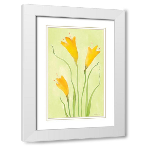 Buttercups White Modern Wood Framed Art Print with Double Matting by Marrott, Stephanie