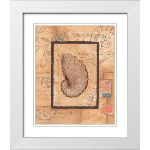 Nautilus White Modern Wood Framed Art Print with Double Matting by Marrott, Stephanie