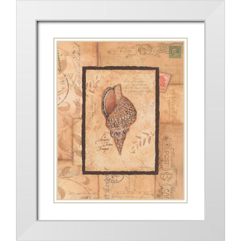 Triton White Modern Wood Framed Art Print with Double Matting by Marrott, Stephanie