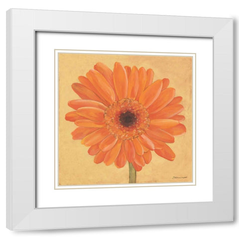 Gerber I White Modern Wood Framed Art Print with Double Matting by Marrott, Stephanie