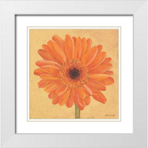 Gerber I White Modern Wood Framed Art Print with Double Matting by Marrott, Stephanie