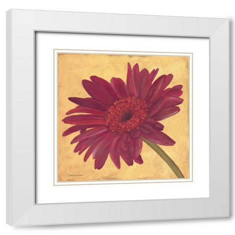 Gerber III White Modern Wood Framed Art Print with Double Matting by Marrott, Stephanie