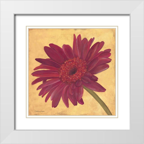 Gerber III White Modern Wood Framed Art Print with Double Matting by Marrott, Stephanie