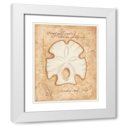 Arrowhead Sand Dollar White Modern Wood Framed Art Print with Double Matting by Marrott, Stephanie