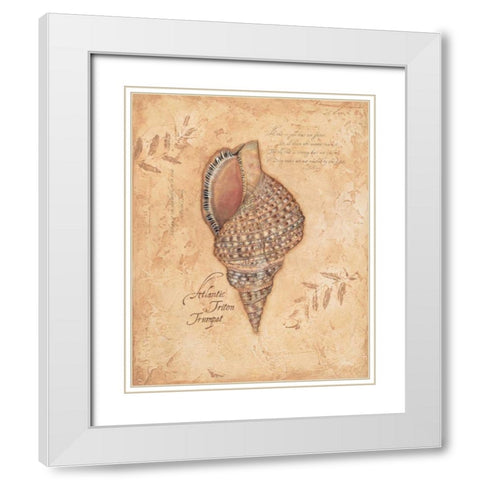 Atlantic Triton White Modern Wood Framed Art Print with Double Matting by Marrott, Stephanie