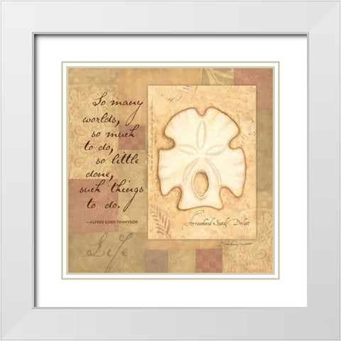 Life Shell White Modern Wood Framed Art Print with Double Matting by Marrott, Stephanie